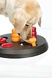 Trixie Dog Activity Flip Board Strategiespiel für Hunde, 23 cm -