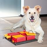 Trixie 32012 Dog Activity Poker Box Hundespielzeug, 31 × 10 × 31 cm -