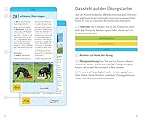 Hunde-Clicker-Box: Plus Clicker für sofortigen Spielspaß (GU Tier-Box) -