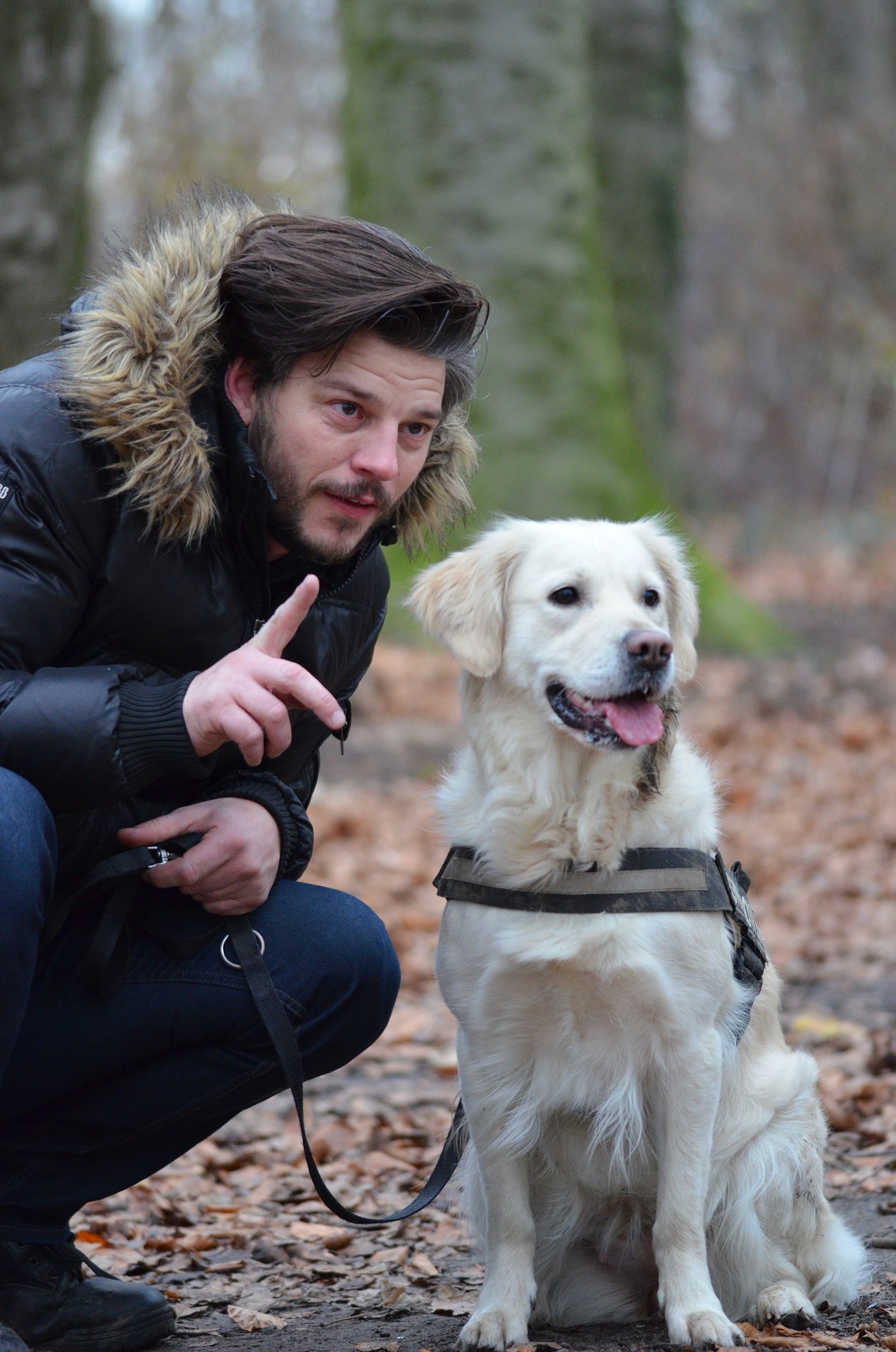 Hund zieht an der Leine Warum? Geduld ist die Basis